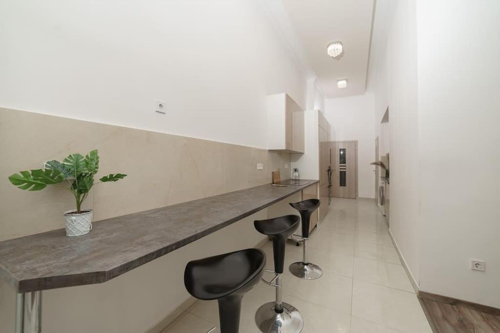 Apartment Cityscape Budget Kiraly